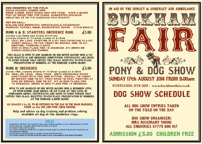 Dog Schedule