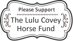 lulu-covey-deco-frame